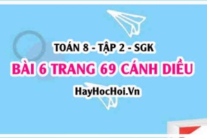 Bài 6 trang 69 Toán 8 Tập 2 Cánh Diều